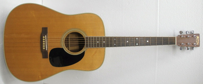 Martin acoustic guitar
